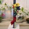 Playmobil , 3512